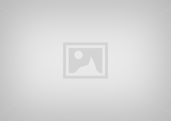 Article (en-us)